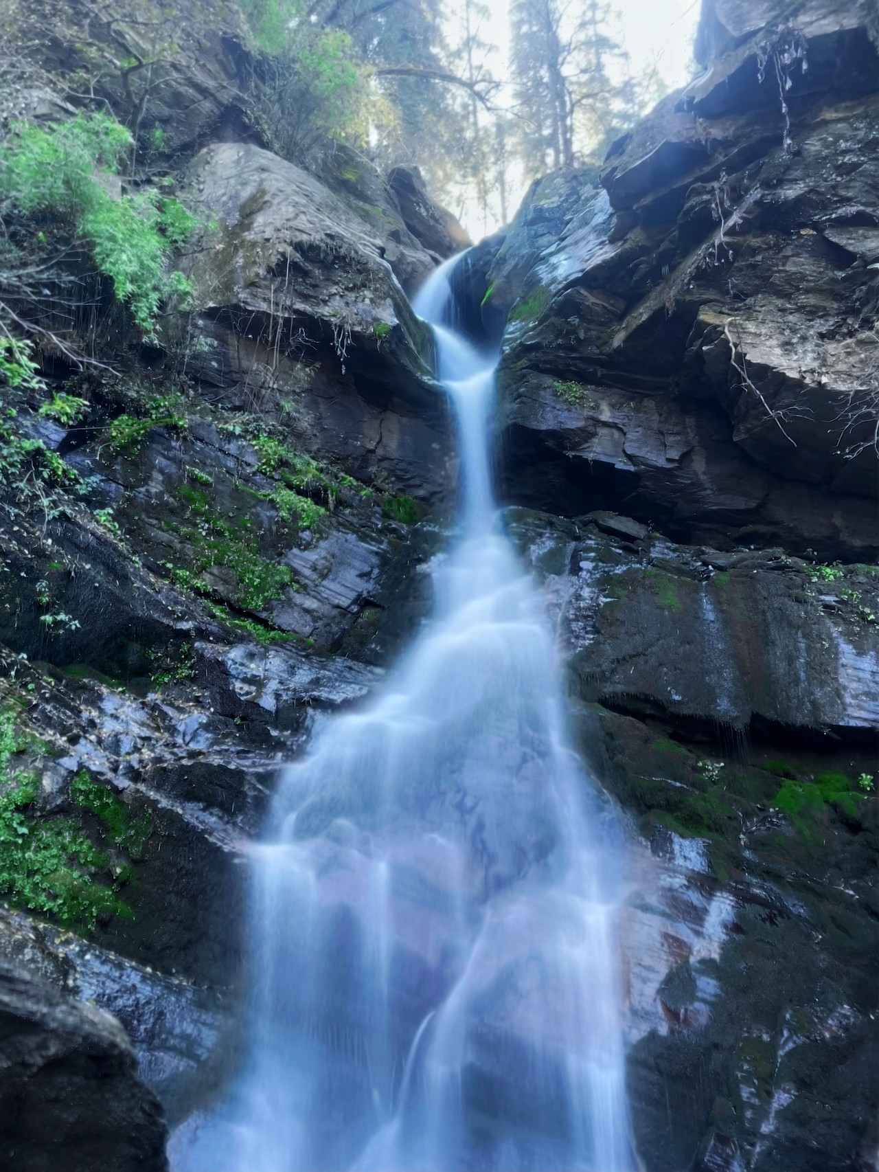 Jibhi · Jalori Pass · Shangarh